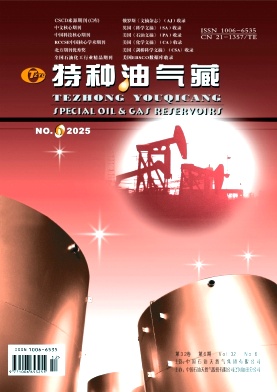 特种油气藏封面